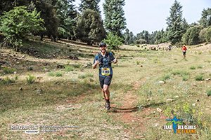 Trail Des Cèdres 2022 (Edition 13)